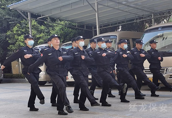 社區伊人网在线免费视频