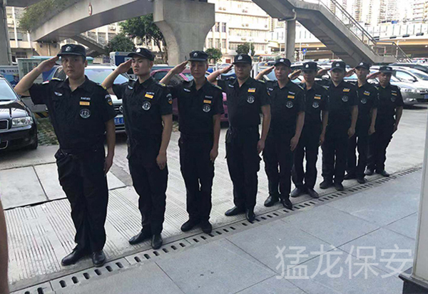 伊人网在线免费视频公司