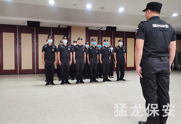 伊人网在线免费视频 伊人网在线免费视频